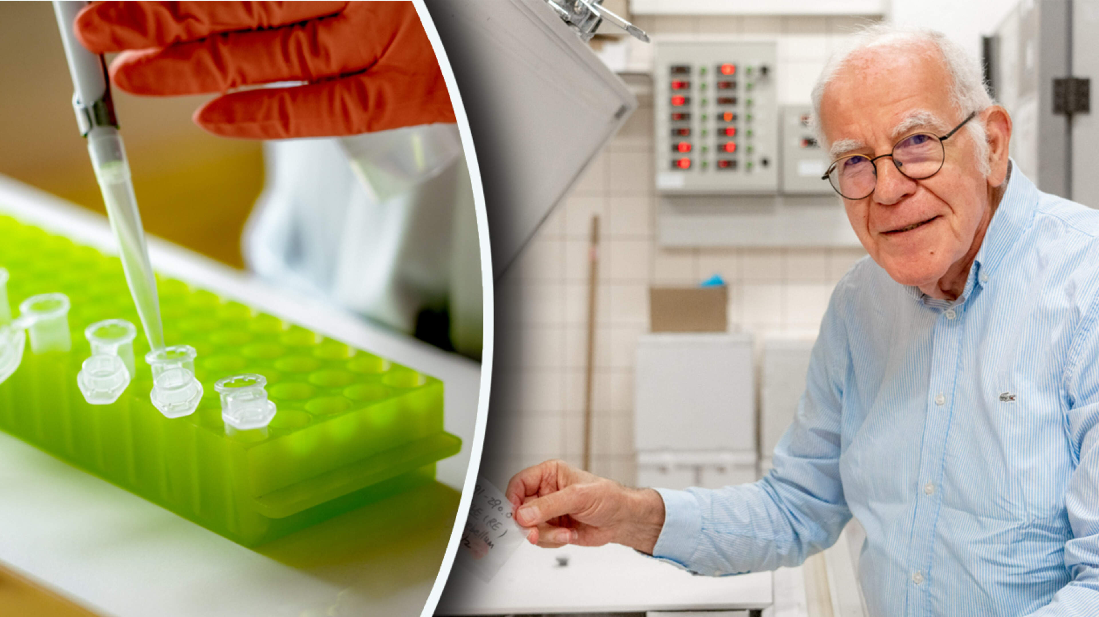 Doodswens laat opvallend biologisch spoor achter in hersenen: dit sterke verschil is te zien tussen suïcide en euthanasie